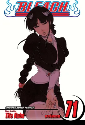 Produktbild von Bleach, Vol. 71