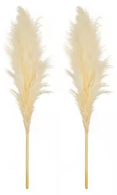 Produktbild von 1/2/3/4/5 Stück künstliches Pampasgras, Boho-Stil, realistisch flauschig, getrocknet, für Zuhause, Büro, Hochzeit, Party, Tischdekoration