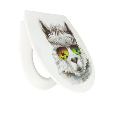 Produktbild von WC-Sitz »Cami«, Soft-Close, Take-Off, Thermoplast