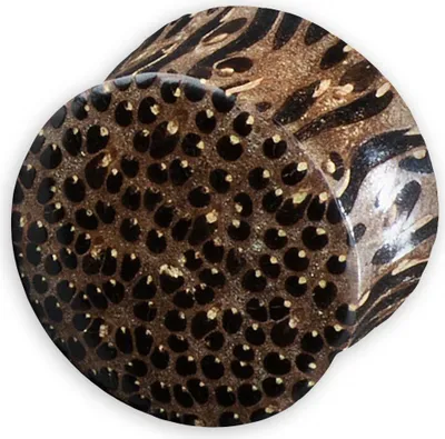Produktbild von viva-adorno 1 Stück 6mm Double Flared Flesh Plug Tunnel aus Holz verschiedene Holzarten zur Auswahl Größe 2 - 30mm WP1,Palm Holz dunkel