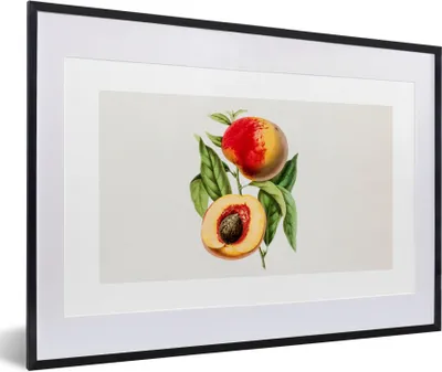 Produktbild von MuchoWow® Gerahmtes Poster Pfirsich - Lebensmittel - Obst 60x40 cm - Poster mit Schwarzem Bilderrahmen Wandposter Rahmen Foto Bilder - Schlafzimmer - Plakat in Rahmen - Drucken