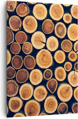Produktbild von Bild auf Leinwand - Leinwandbild - Einteilig - Knoten Baum Stamm - 70x100cm - Wand Bild - Wanddeko - Wandbilder - Leinwanddruck - Wanddekoration - Leinwand bilder - Wandbild - PA70x100-3974