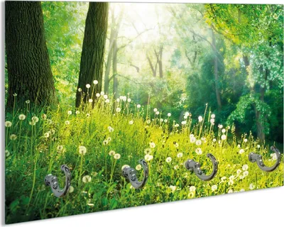 Produktbild von Wallario Schlüsselbrett aus Glas, Motiv: Pusteblumen im Wald mit einfallenden Sonnenstrahlen, 30 x 20 cm mit 4 Haken