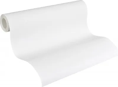Produktbild von A.S. Création Vliestapete Meistervlies Pro Protect 2, weiss, überstreichbar, 10,05 m x 0,53 m, 250513, 2505-13