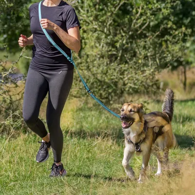 Produktbild von TRIXIE Joggingleine - petrol/aqua - 1,33–1,80 m/20 mm