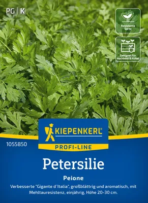 Produktbild von Kiepenkerl Petersiliensamen Peione Petroselinum crispum 150 Pflanzen