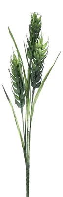 Zdjęcie produktu dla Pomax Fiori, element dekoracyjny do wnętrz, kolor zielony, wysokość 112 cm