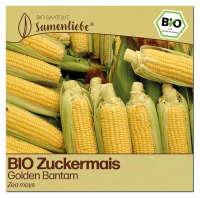 Produktbild von Samenliebe  Zuckermais Samen | Golden Bantam - süß - samenfestes  Saatgut