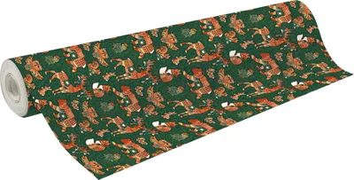 Produktbild von Clairefontaine Excellia 80g 50x0,70m Forest Rot Grün 202111C