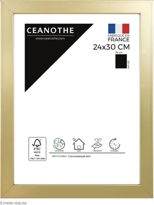 Image de CEANOTHE Cadre photo Precious 24x30 cm doré