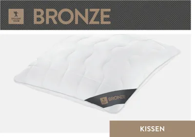 Produktbild von Spessarttraum Daunenkissen Platin Füllung: 60% Gänsedaunen/ 40% Gänsefedern Bezug: 100% Baumwolle Größe 80 x 80 cm