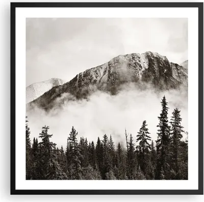Produktbild von Gerahmtes Poster - Schwarzer Rahmen - Nebel Berg Wald - 60x60 cm - Wand Bild - Wanddeko - Wandbilder - Kunstposter - Wandposter - Bilderrahmen - Bilder - Kunstdruck - Wanddekoration - P2BAC60x60-4936