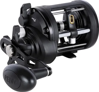 Produktbild von Penn Rival 2 Level Wind