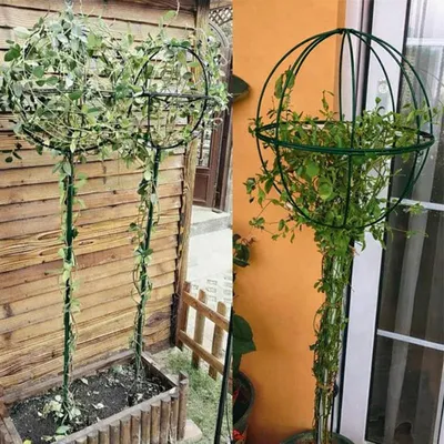 Produktbild von RealG RC-K-2278 Metallstütze für Kletterpflanzen für den Garten, 50 x 10 cm, grün