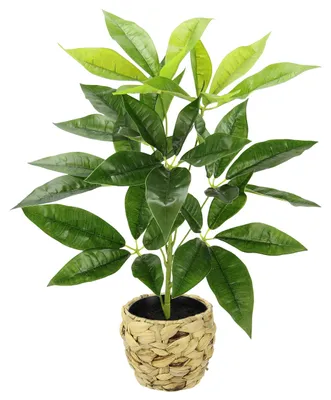 Zdjęcie produktu dla Sztuczna roślina Schefflera w doniczce - realistyczna dekoracja do wnętrz
