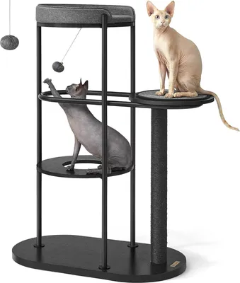 Image de Feandrea Arbre à chat, moderne, tubes métalliques, avec coussin et plateforme, tronc en sisal, balle de jeu pour chat, 80 x 43 x 111 cm, pour petit, grand, vieux chat,