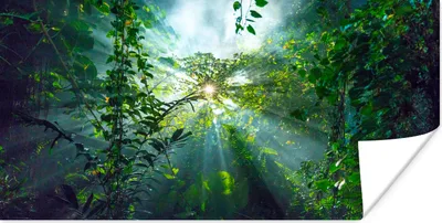 Produktbild von MuchoWow® Poster Sonnenlicht scheint auf eine Höhle im Regenwald von Malaysia 150x75 cm - ohne Rahmen