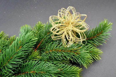 Produktbild von Drahtball, Drahtkugel - Blumenkopf ca. 8 cm goldfarben beglimmert