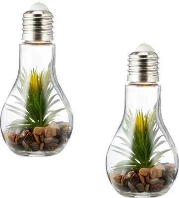 Produktbild von 2er Set LED Glühbirne Sukkulenten H19cm Grün Deko Lampe Kunstpflanze Tischdeko