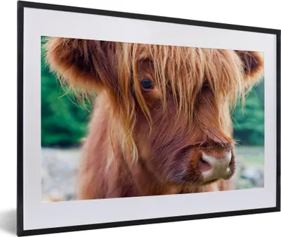 Produktbild von MuchoWow® MuchoWow® Gerahmtes Poster Schottisches Hochlandrind - Braun - Kalb 60x40 cm - Poster mit zchwarzem Bilderrahmen - Schlafzimmer - Plakat in Rahmen - Drucken