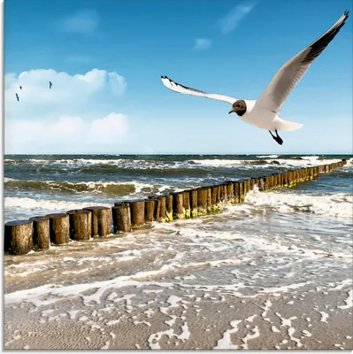 Produktbild von ARTland Glasbild Ostsee Größe: 20x20 cm