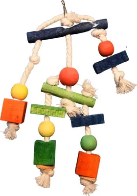 Image de Blocs et cordes - un jouet pour tous les perroquets