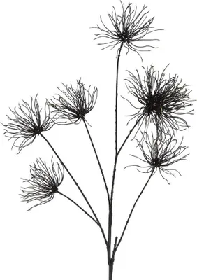 Produktbild von Kunstblume Grevillea M schwarz Countryfield