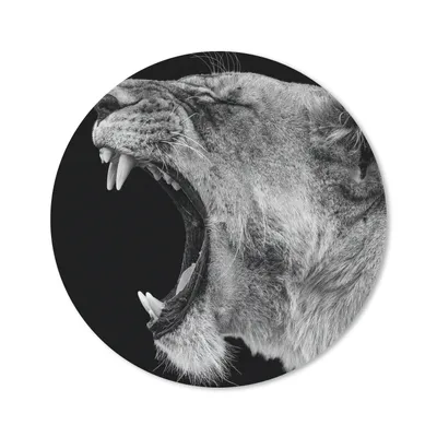 Produktbild von MuchoWow® Mauspad Mousepad Tiere - Löwe - Schwarz - Weiß - Porträt 40x40 cm - Mousepads - Maus Mat - Pad - Mausunterlage - Schreibtisch Accessoires