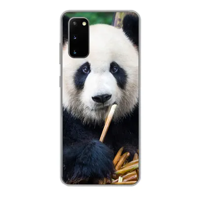 Produktbild von MuchoWow® Handyhülle Schutzhülle Hülle für Samsung Galaxy S20 Panda - Bambus - Natur Silikon Softcase Handy Hülle - Bild