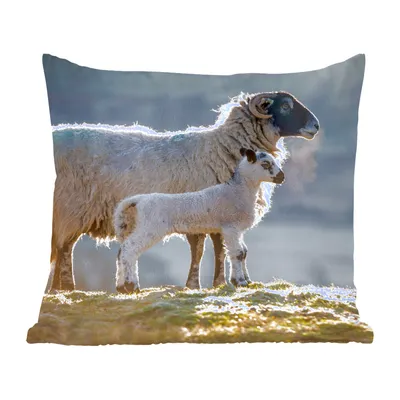 Produktbild von MuchoWow® Zierkissen Sofakissen Wohnzimmer Dekokissen 45x45 cm Schaf - Lamm - Sonne - Schlafpolster - Polster für das Sofa