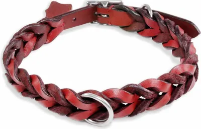 Produktbild von Monkimau Halsband Hund echt Leder Hunde Halsbänder rot geflochten Lederhalsband verstellbar Dog Collar Hundehalsband Größe S