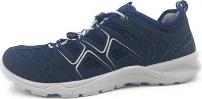 Image de Ecco Terracruise : chaussures de sport pour hommes, modèle bleu, style décontracté