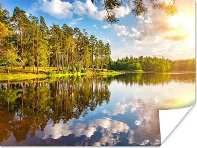 Produktbild von MuchoWow® Poster Wasser - Bäume - Natur 120x90 cm - Wandbild