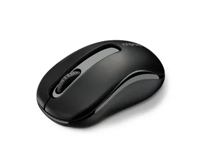 Produktbild von Rapoo M10 Plus, Beidhändig, Optisch, RF Wireless, 1000 DPI, Schwarz