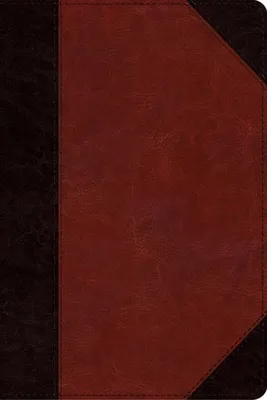 Productafbeelding van ESV Study Bible, Personal Size