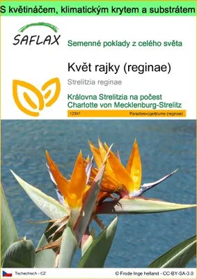 Obrázek produktu pro SAFLAX Garden to go - květ rajky (reginae) - Strelitzia reginae - 5 Semena - S květináčem, klimatickou poklicí a pěstebním substrátem