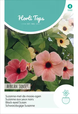 Produktbild von Schwarzäugige Susanne African Sunset | Blumensamen von Hortitops