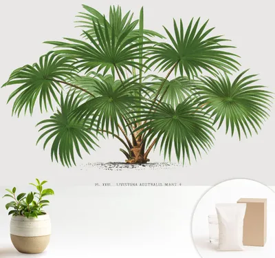 Produktbild von Fototapete  - 104x70 cm - Tapete - Wandtapete - Wandbilder  - Dekofolie - Tapete Folie - Wand - Dekoration - Wohnzimmer - Exotisches Muster