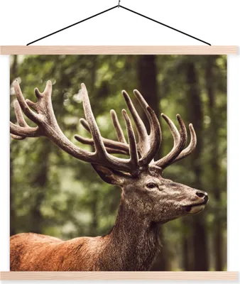 Produktbild von MuchoWow® Textilposter Hirsch - Natur - Geweih - Wald - Tiere 40x40 cm mit holzfarbenen Rahmen - Posterleiste