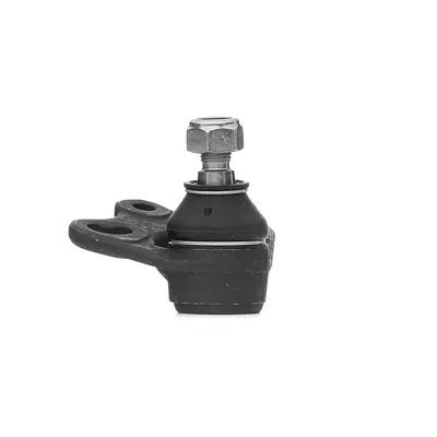Produktbild von FEBI BILSTEIN Traggelenk Vorne Links Vorne Rechts passend für MERCEDES-BENZ A-Klasse (W169) 31334