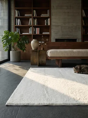 Teppich Creme Textur Nahaufnahme_#sku_BARK64576-BARK64583-BARK64590-BARK64597-BARK64598#