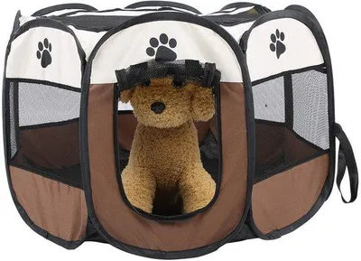 Image de Cage de transport pliable pour chien - Tente d'entraînement légère pour chien - Sûre pour une utilisation intérieure et extérieure - Tissu Oxford 600D - Dimensions : 26,77 x 17 cm - Coussin durable pour chien