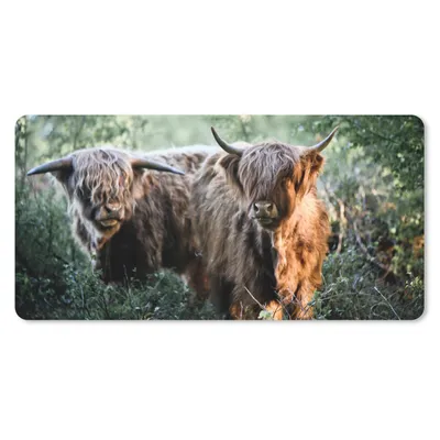 Produktbild von MuchoWow® Schreibtischunterlage Schottische Highlander - Wald - Tiere 80x40 cm - XXL Mauspad - Gaming Mauspad