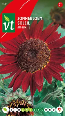 Obrázok produktu pre Červené slnečnicové semienka - cca 1 gr | VT_899