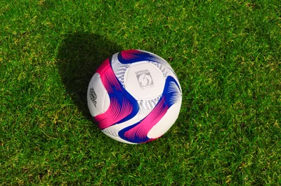Produktbild von Powershot-Ball rosa und blau - Größe nach Wahl