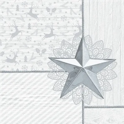 Productafbeelding van 1200 x 50 x 50 mm, PAPSTAR GmbH, Daimlerstraße 4-853925 Kall, verpakking van 1 stuk