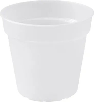 Image de Pot Orchidée Transparent Elho Transparence Pour Racines Saines - Elho