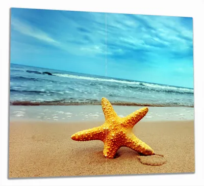 Produktbild von Wallario Herdabdeckplatte aus Glas, Größe 60 x 52 cm 2-teilig, Motiv Seestern am Strand am Meer