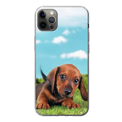 Produktbild von MuchoWow® Handyhülle Schutzhülle Hülle für iPhone 13 Pro Max Schöner Himmel über einem niedlichen Dackelwelpen Silikon Softcase Handy Hülle - Mobiltelefon