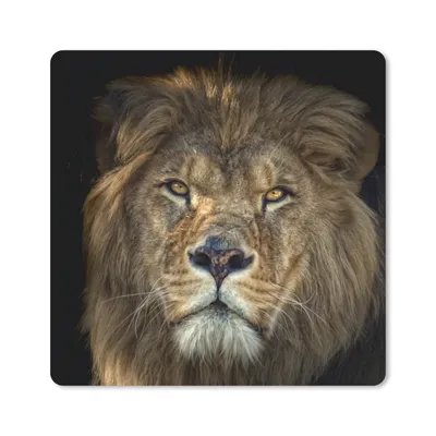 Produktbild von MuchoWow® Mauspad Mousepad Schwarz - Löwe - Wilde Tiere 20x20 cm - Mousepads - Maus Mat - Pad - Mausunterlage - Desk Mat - Bureauartikeln